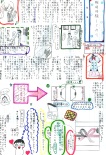 広島市立五日市南中学校